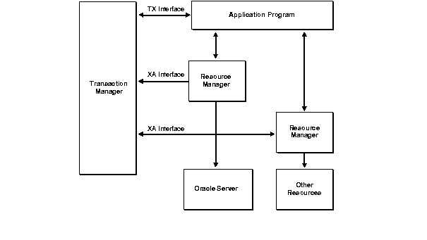 Hypothetical DTP Model