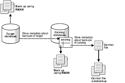 Description of Figure 13-1 follows