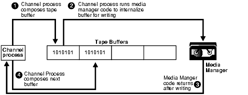 Description of Figure 22-5 follows