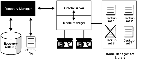 Description of Figure 12-1 follows