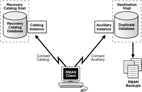 Description of Figure 24-3 follows