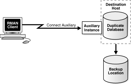 Description of Figure 24-4 follows