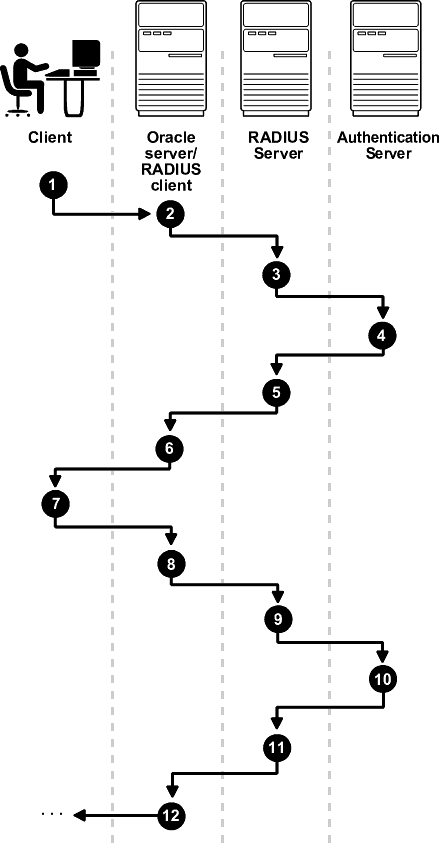 Description of Figure 11-3 follows