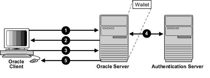 Description of Figure 13-1 follows