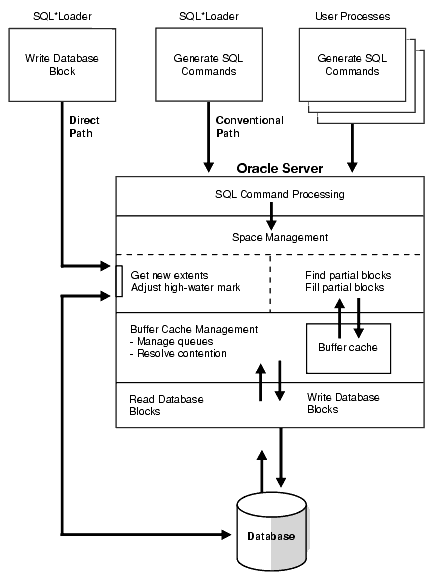 Description of Figure 12-1 follows