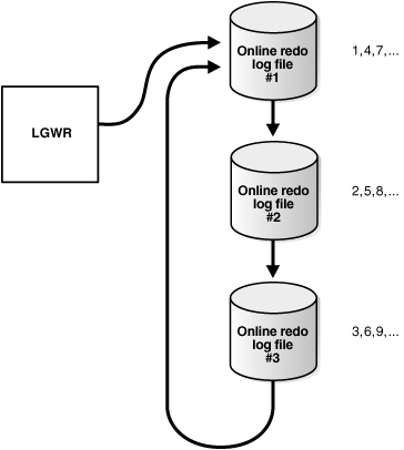 Description of Figure 12-1 follows