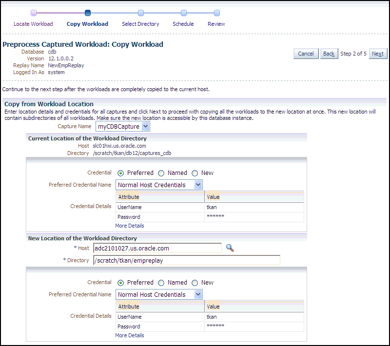 Description of dbr_process_copy_wkld.gif follows